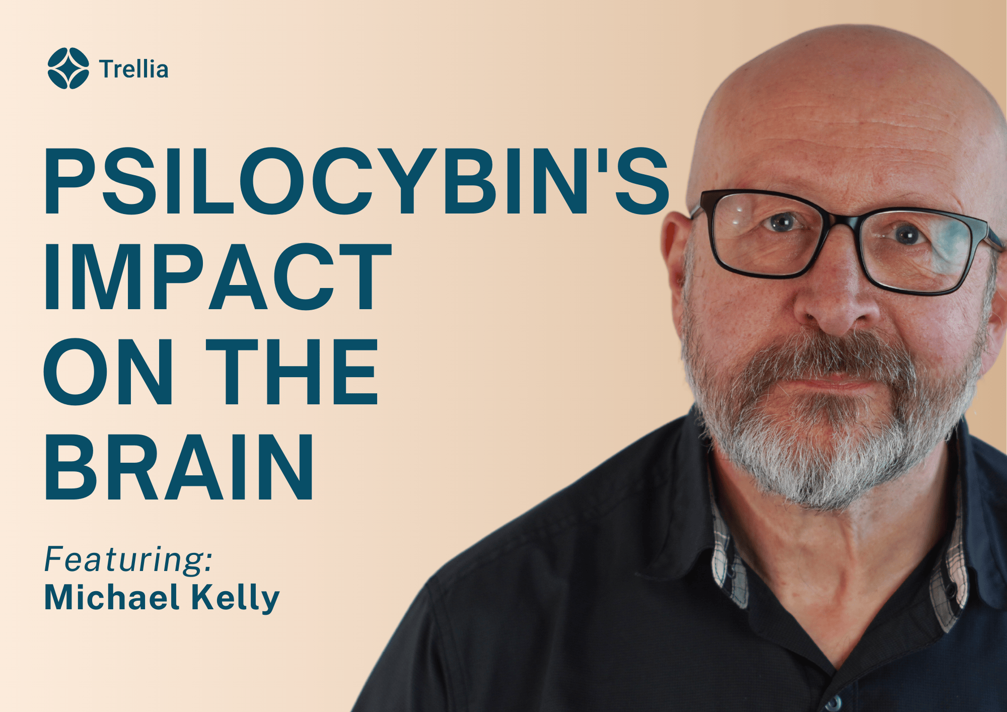 Understanding the Science: How Psilocybin Therapy Affects the Brain